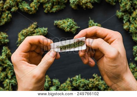 Grinder A Lot Ofx Marijuana, Fresh Buds Of Cannabis Many Weed. Copy Spase Copy-space