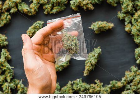 Grinder A Lot Ofx Marijuana, Fresh Buds Of Cannabis Many Weed. Copy Spase Copy-space