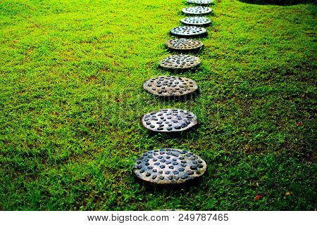 Landscaping In The Garden. The Path In The Garden.
