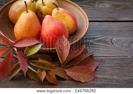 Pears. Collecting Pears. Fresh Ripe Pears In A Clay Plate With Autumn Leaves On A Wooden Table. Pear