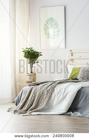 Poster Above Plant Next To Bed With Grey Blanket In Minimal Bedroom Interior. Real Photo
