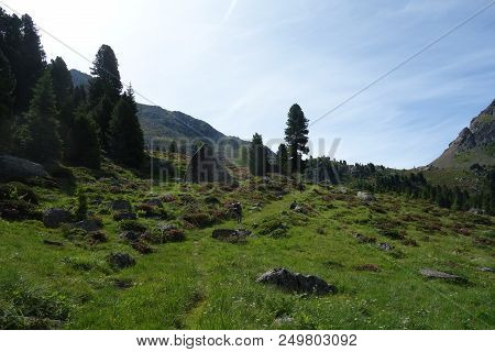 Lagorai Mountain Range In The Eastern Alps In Trentino, Italy
