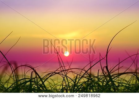 Blur Sunset On The Sea And Silhouette Grass On Beach Colorful Cold Sky