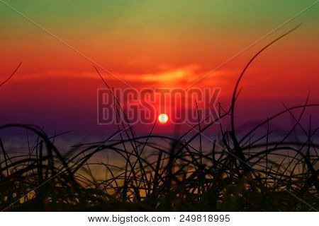 Blur Sunset On The Sea And Silhouette Grass On Beach Colorful Orange Sky