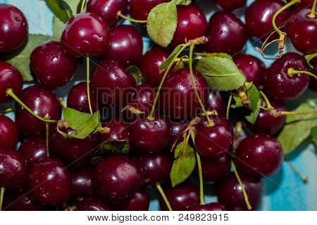 Closeup Of Ripe Cherries With Stalks. Large Collection Of Fresh Red Cherries. Ripe Cherries Backgrou