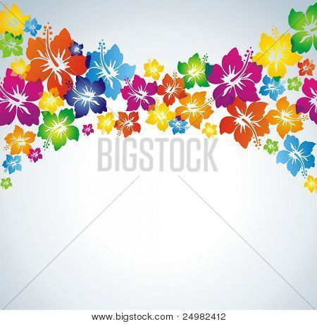 Hibiscus. Farverige blomstermotiver baggrund.