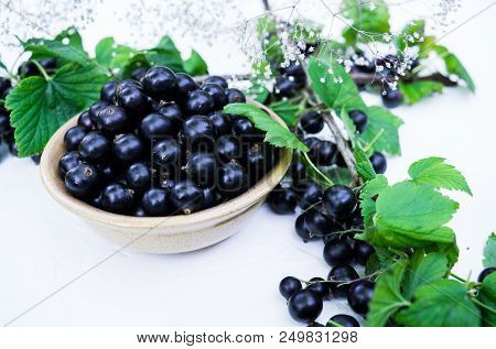 Berries Of A Tasty, Large Black Currant On A Table In A Small Plate