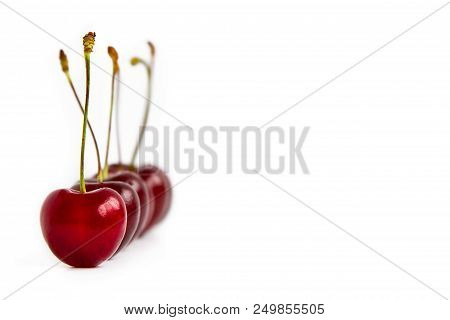 Ripe Red Cherries Are Lined Up, One After The Other. One Cherry In Focus On White Background.copy Sp