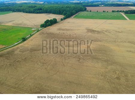 Aerial View On Yellow Wheat Field And Green Forest With Ground Road.