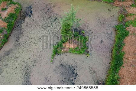 Aerial View On Swamp Area With Island, Trees And Duckweed.