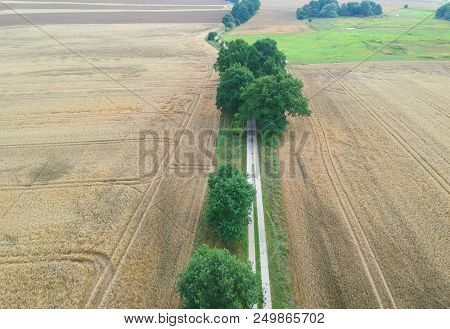 Aerial View On Yellow Wheat Field And Green Forest With Ground Road.