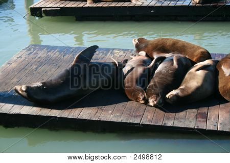 Уплотнения