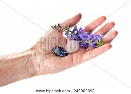 Stone And Flower In Hand In Front Of White Background
