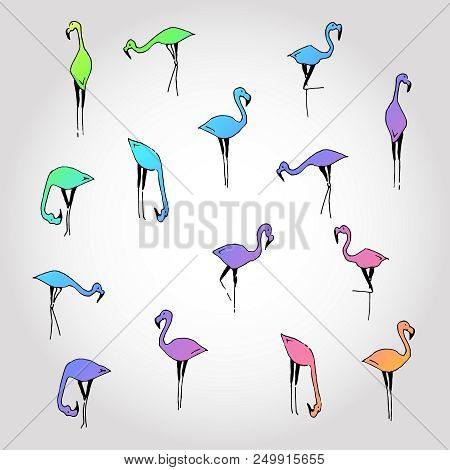 Flamingo Bird Rainbow Hand Drawn Vector Set