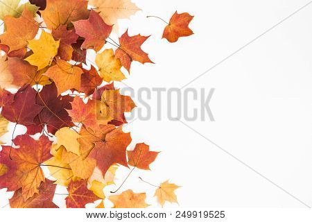 Autumn Composition. Frame Made Of Autumn Dried Leaves On White Background. Flat Lay, Top View, Copy 