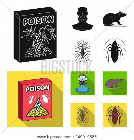 Staff, Packing With Poison And Pests Black, Flat Icons In Set Collection For Design.pest Control Ser