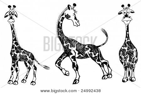 set di giraffe vector doodle