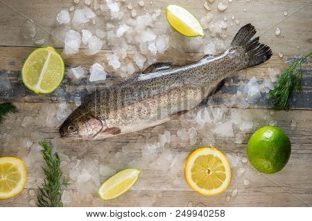 Preparation Of Trout, Sliced Lemon And Green Rosemary. Cooking Food On Wooden Board
