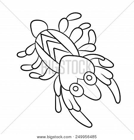 Plankton Shrimp In Coloring Page For Childrean And Adult In Vector