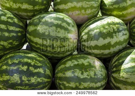 Market Counter With Delisios Watermelons.