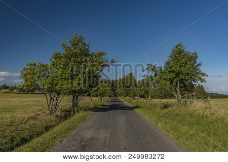 Road In Slavkovsky Les Mountains In Summer Sunny Sunset Evening Near Krizky Area