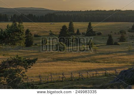 Slavkovsky Les Mountains In Summer Sunny Sunset Evening Near Krizky Area