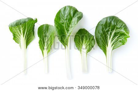Chinese paksoi leaves on white background