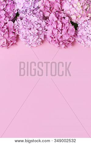 Beautiful Flowers Of Pink Hydrangea With Green Leaves On Pink Background Top View Flat Lay Copy Spac