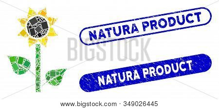 Mosaic Sunflower Plant And Rubber Stamp Seals With Natura Product Caption. Mosaic Vector Sunflower P