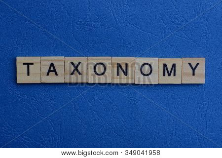 Gray Word Taxonomy From Small Wooden Letters On A Blue Table