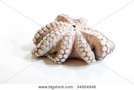 Krake