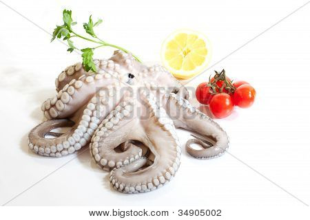 Krake