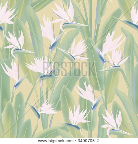 Strelitzia Reginae Tropical Flower Vector Seamless Pattern. Bohemian Tropical Plant Fabric Print Des