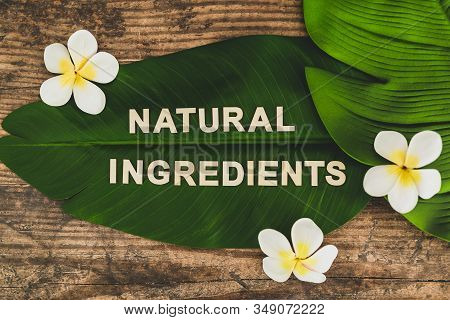 Beauty Industry And Ethical Vegan Products, Natural Ingredients Message On Tropical Banana Leaf With
