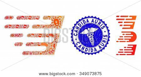 Biohazard Mosaic Rush Effect Icon And Rounded Rubber Stamp Seal With Candida Auris Caption And Healt