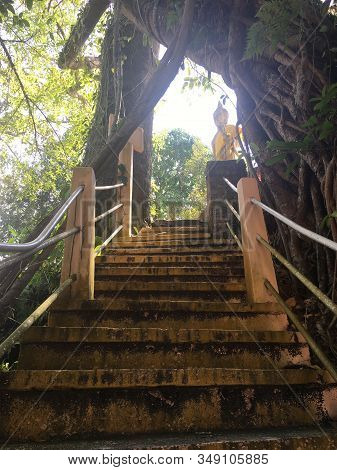 Stairs To Dharma