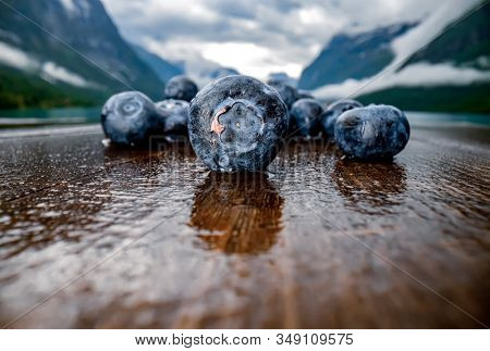 Blueberry antioxidants on a wooden table on a background of Norwegian nature.
