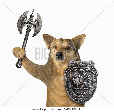 The Beige Dog Viking Is Armed With A Shield With A Dragon And A Double Headed Battle Axe. White Back