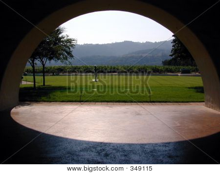 Pátio Vinyard