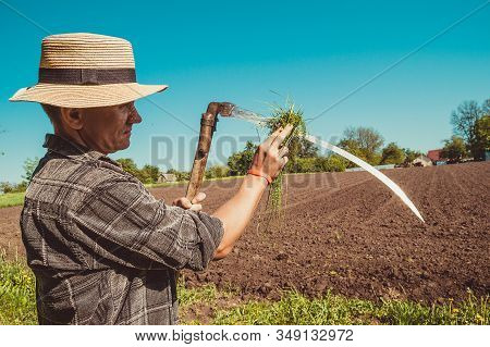 Authentic Rural Farmer In Straw Hat Clean Scythe With Grass. Agriculture Worker. Sharp Blade. Vegeta