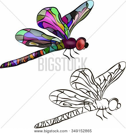 Two Identical Stylized Dragonflies. Side View. One Dragonfly Is Colored. The Second Is Black And Whi