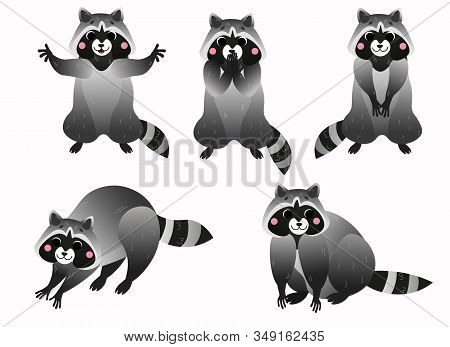 Cute Cartoon Raccoon Vector Set. Raccoon In Different Postures. Standing Raccoon, Hugs, Washing And 