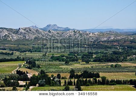 The Provençal Countryside