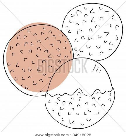 Litchi
