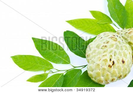 Čerstvé Custard Apple