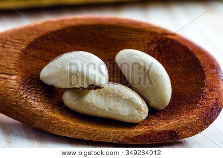 Brazil Nut, Macro Photo, Closeup. Acre Chestnut In Wooden Spoon. Known As 
