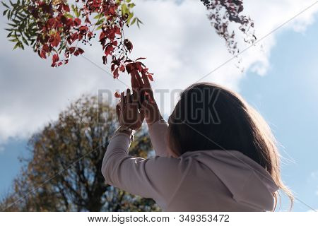 Rear Side View Of A Caucasian Woman Picking The Tree Branch, Under The Shining Sun In The Sky During