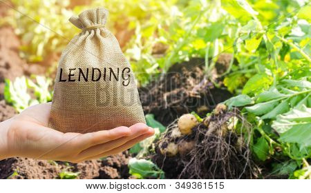 Money Bag With The Word Lending On The Background Of Plantations. The Concept Of Agricultural Lendin