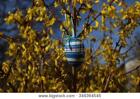 Easter Egg In The Forsythia In The Eastertime