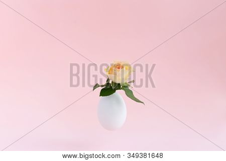 Bushy Beige, Yellow, Orange Rose In Easter White Eggshell Flying In The Air On Light Pink Background